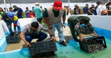 Fortalecen Programa de Conservación de Tortuga Arrau y Terecay