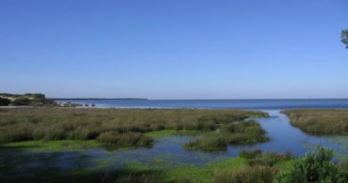 Investigación revela la existencia de una antigua llanura costera situada en Cádiz