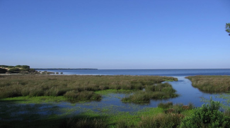 Investigación revela la existencia de una antigua llanura costera situada en Cádiz