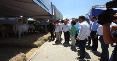 Vicepresidenta Ejecutiva inaugura XLVII Feria Nacional del Cebú y sus Cruces