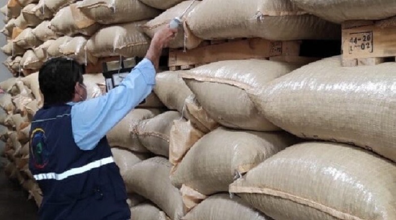 Lara incrementa su presencia global con la exportación de frijoles a Bélgica