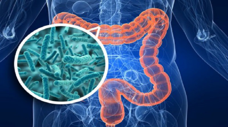 Revelan posible conexión del microbiota intestinal en trastornos sociales