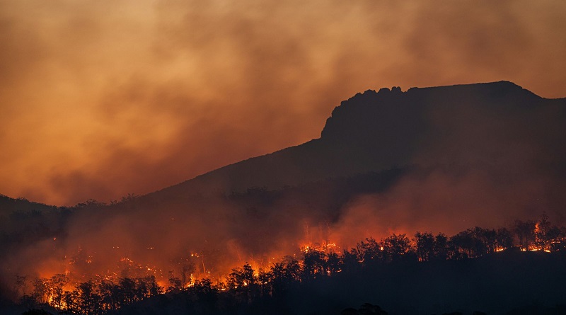 México enfrenta una ola de incendios forestales