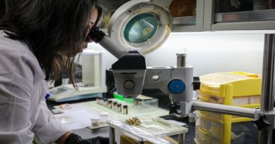 la Biotecnología Agrícola y sus grandes aportes hacia la Seguridad Alimentaria