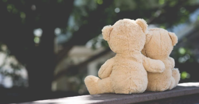 Estudio revela que el contacto con personas y animales mejora la salud