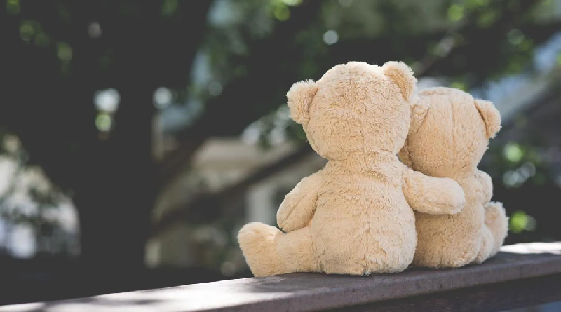 Estudio revela que el contacto con personas y animales mejora la salud
