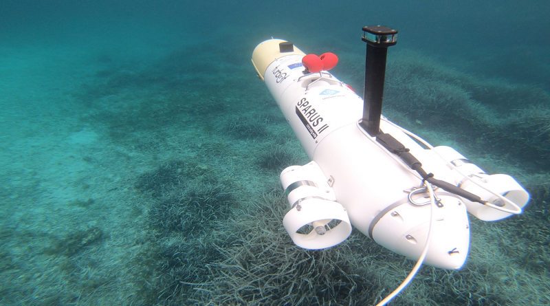 Robots e inteligencia artificial protegen y vigilan la vida submarina teoría