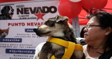 Misión Nevado favoreció con jornada a mascotas de la Gran Caracas