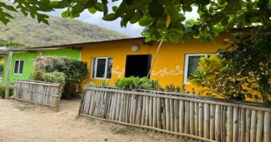 Avanza embellecimiento de fachadas de viviendas en el municipio Chuao