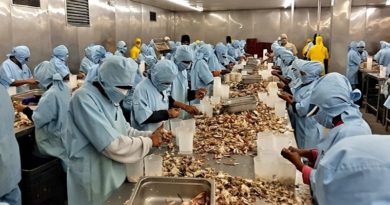 Planta Corporación Blu C.A., del estado Zulia procesa 50 toneladas de pescado al día