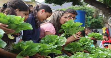 Escuela Benilde Ascanio de Caracas desarrolla siete brigadas escolares Carlos Lanz