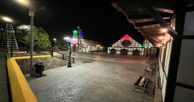 Instaladas más de 500 luminarias en La Colonia Tovar