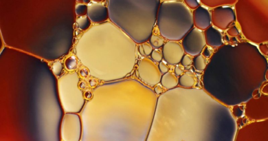 Develan “claves perdidas” de bioquímica primitiva de la Tierra