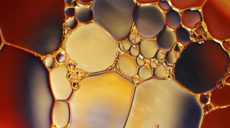 Develan “claves perdidas” de bioquímica primitiva de la Tierra