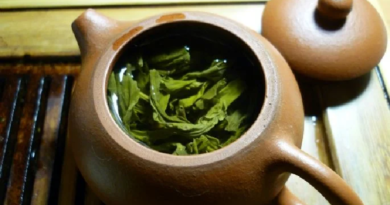 Descubre los beneficios de consumir varios tipos de té