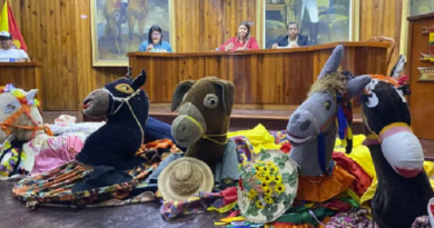 Declaran las burras y burriquitas Patrimonio Cultural Inmaterial de Girardot