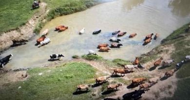 Aplicarán medidas para ayudar a damnificados en Colombia