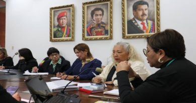 Comisión de Familias AN adelanta tres proyectos de ley