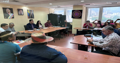 Comisión de Pueblos Indígenas propone celebrar Año Nuevo Andino Amazónico Año Nuevo Andino Amazón