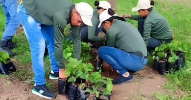 Realizan Jornada de extracción de plantas en el Vivero Costas del Capanaparo