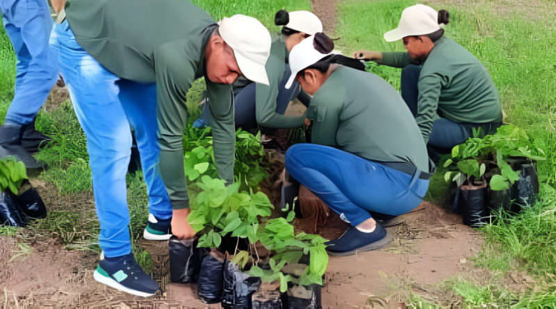 Realizan Jornada de extracción de plantas en el Vivero Costas del Capanaparo