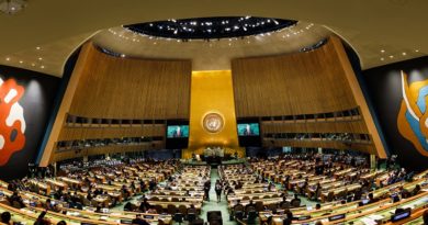 Países del ALBA-TCP votan a favor de otorga derechos a Palestina en la ONU