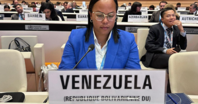 Venezuela reafirma apoyo a Palestina en la asamblea mundial de salud