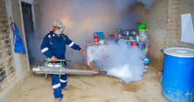 Elaboran plan de vigilancia contra el dengue en el estado Táchira
