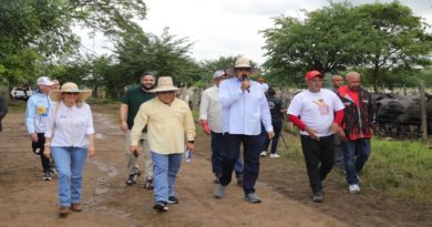 Inicia Plan de Siembra Ciclo Invierno 2024 - 2025 en Venezuela