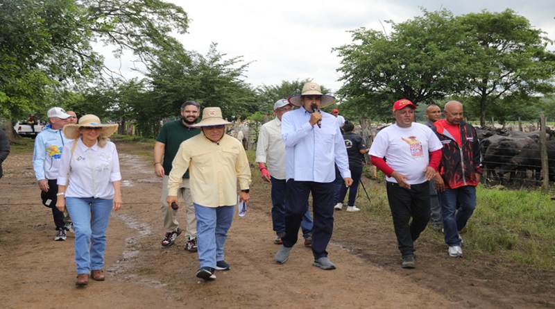 Inicia Plan de Siembra Ciclo Invierno 2024 - 2025 en Venezuela