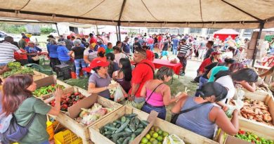 Feria del Campo Soberano favorece a comunidades del estado Bolívar