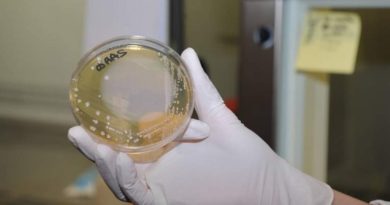Bacteria carnívora letal bate récord de infecciones en Japón