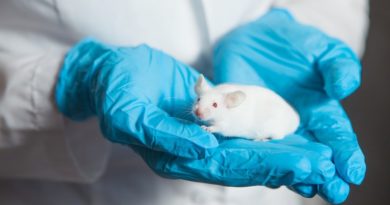 Vacuna rusa contra el cáncer funciona con éxito en ratones