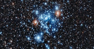 Telescopio Webb descubre cinco cúmulos estelares