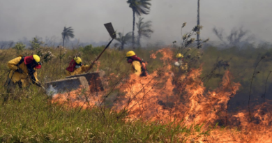 Bolivia registra más de tres mil focos de calor