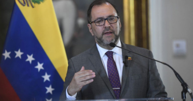 Canciller Gil destaca victoria de Venezuela frente al aislamiento internacional