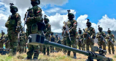 FANB ha inutilizado 70 pistas clandestinas de los Tancol desde 2021