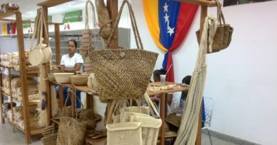 exposición de cestas del artesano