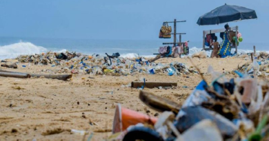 Desarrollan películas biodegradables con cáscaras de huevo para reducir uso de plásticos