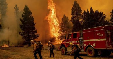 Estudio revela que Incendios en California causan 52 mil muertes prematuras