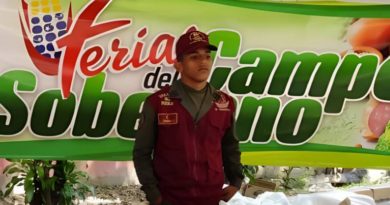 FFamilias del estado Táchira son favorecidas con jornada alimenticia