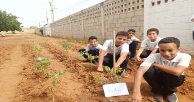 Incentivan siembra agrourbana en escuelas del Zulia