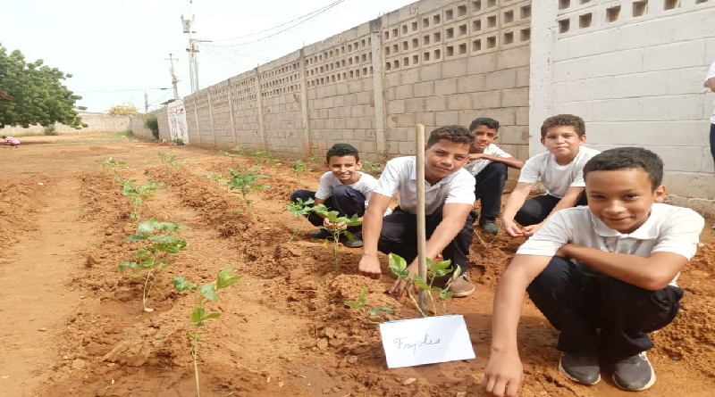 Incentivan siembra agrourbana en escuelas del Zulia