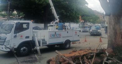 Plan Nacional de Lluvias se despliega para atender árboles en riesgos de Caracas