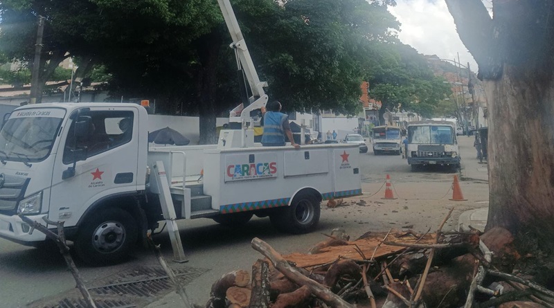 Plan Nacional de Lluvias se despliega para atender árboles en riesgos de Caracas