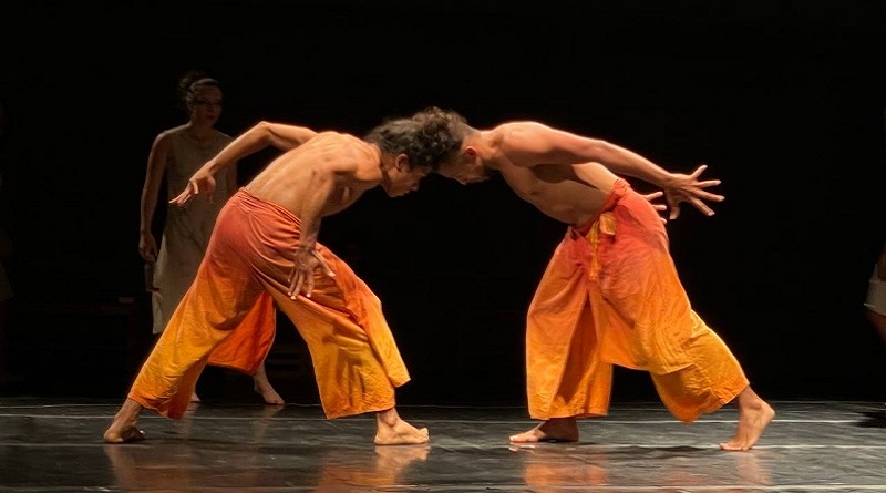 Compañía Nacional de Danza cumplió exitosamente su primera temporada 2024