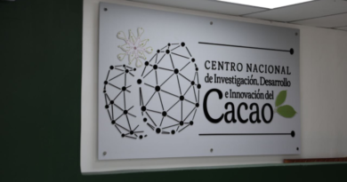 Fortalecen estrategias cientificas para potenciar producción del cacao nacional