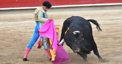 Colombia promulga ley que prohíbe corridas de toros