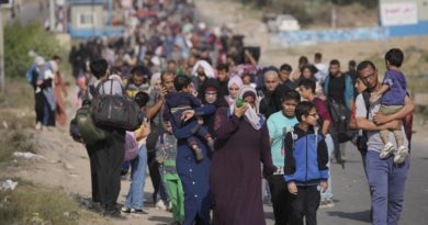 OMS: Hepatitis y otras enfermedades aquejan a los desplazados en Gaza