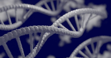 Descubren que proceso crucial del ADN podría curar cáncer de páncreas
